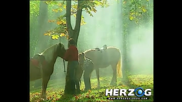 Yodel Porn - HerzogVideos