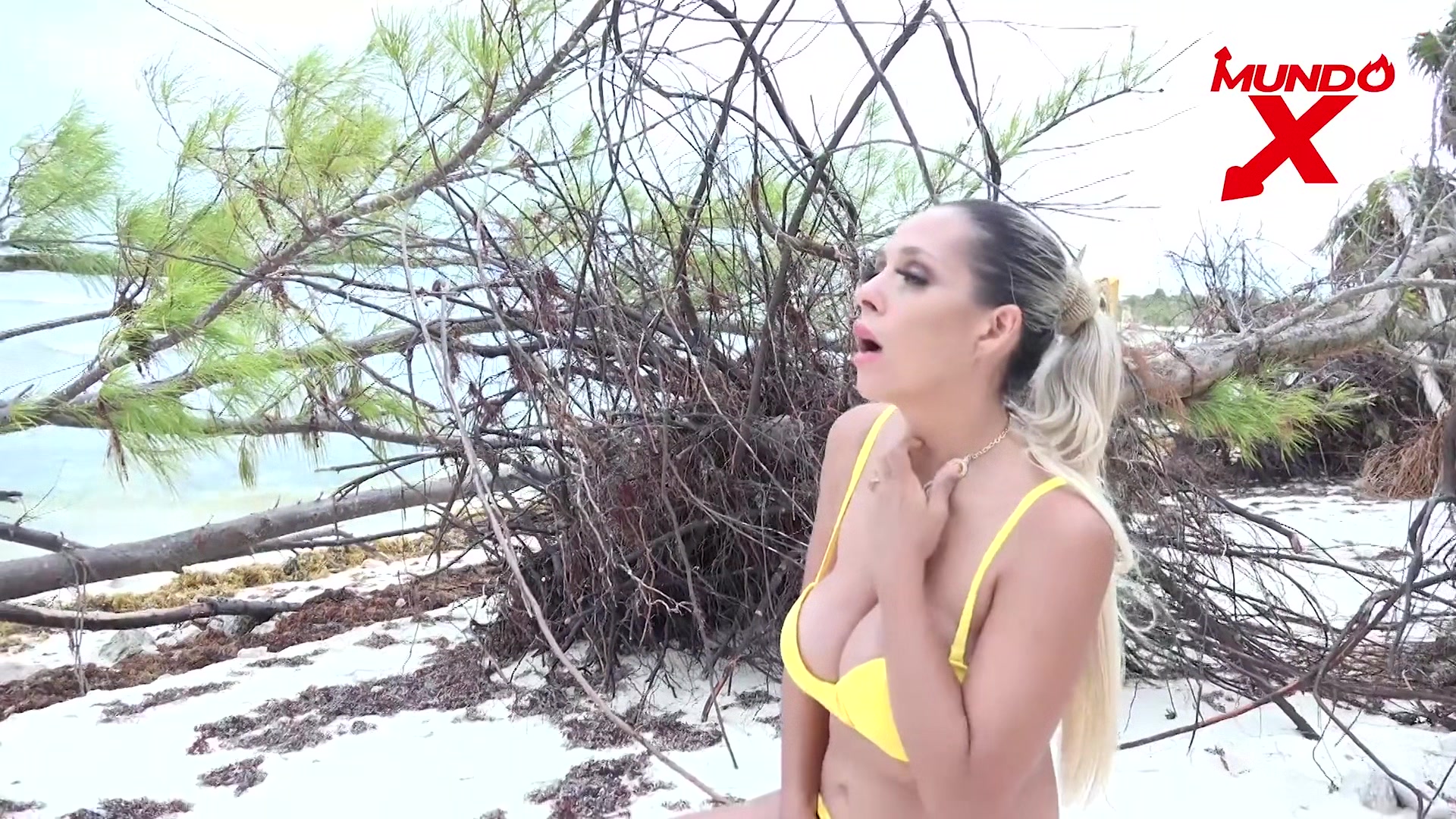 Encuentro Casual En La Playa - Mundo X