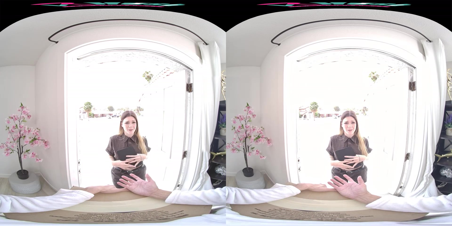 Alex Kane & David Lee - VR Porn Video