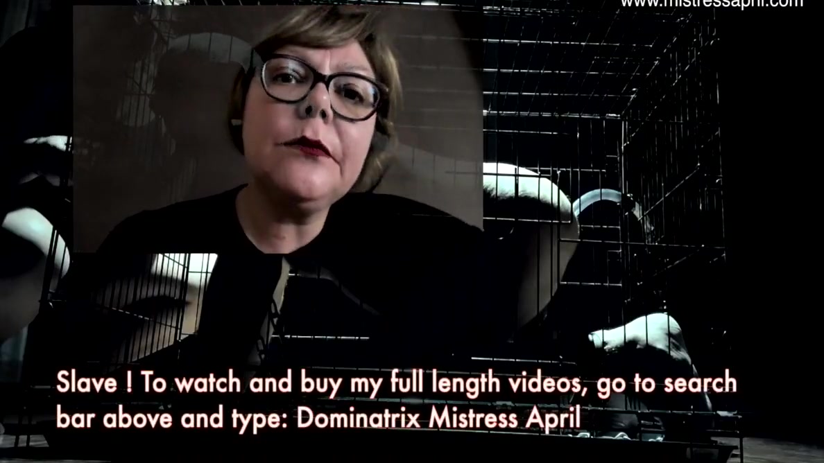 Dominatrix Slave Toilet - Mistress April