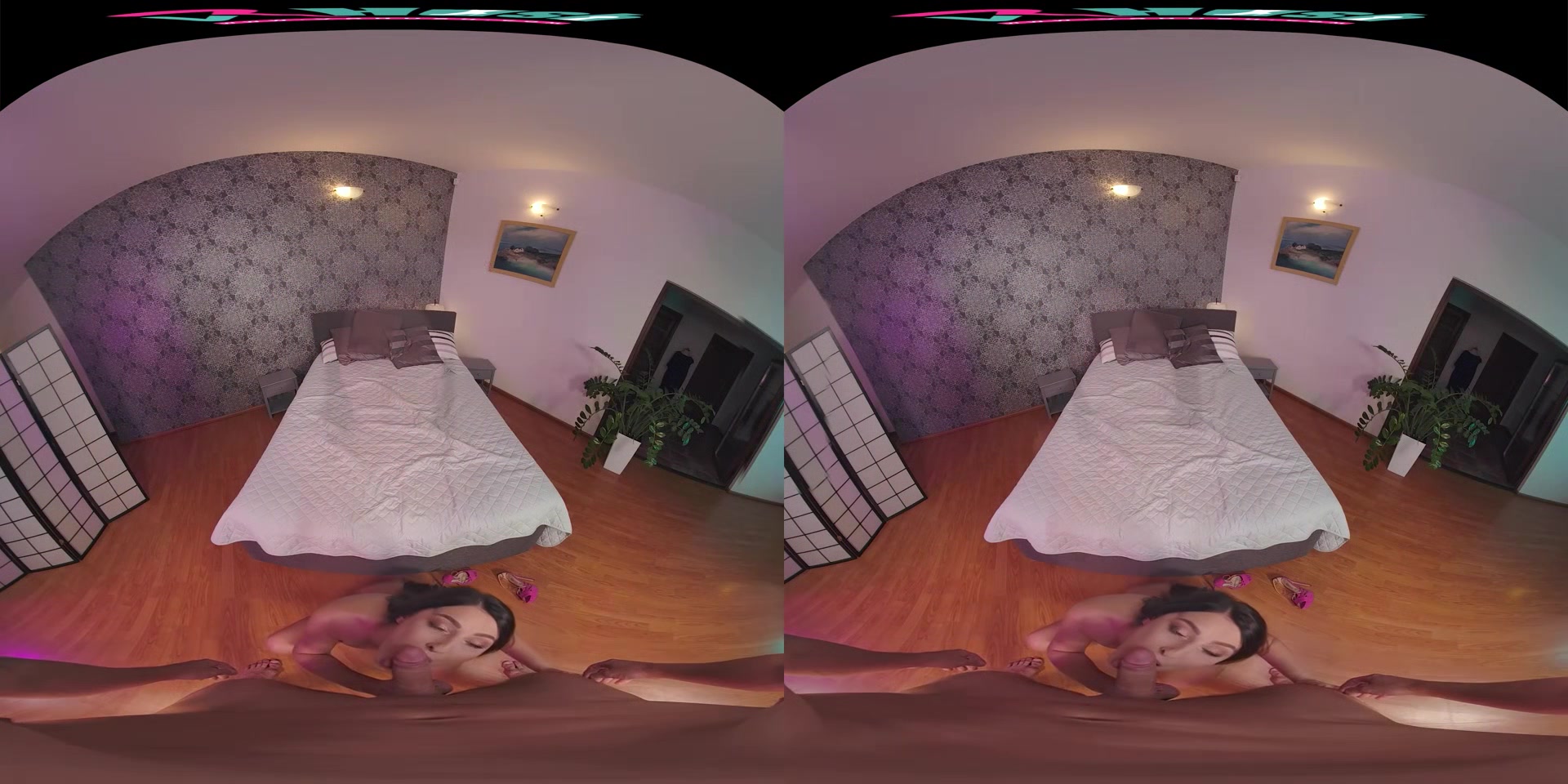 Katy Rose & Jason X - VRHush