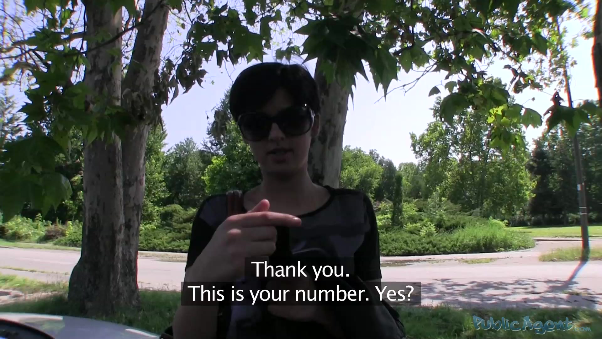 PublicAgent Clip Scene. Coco