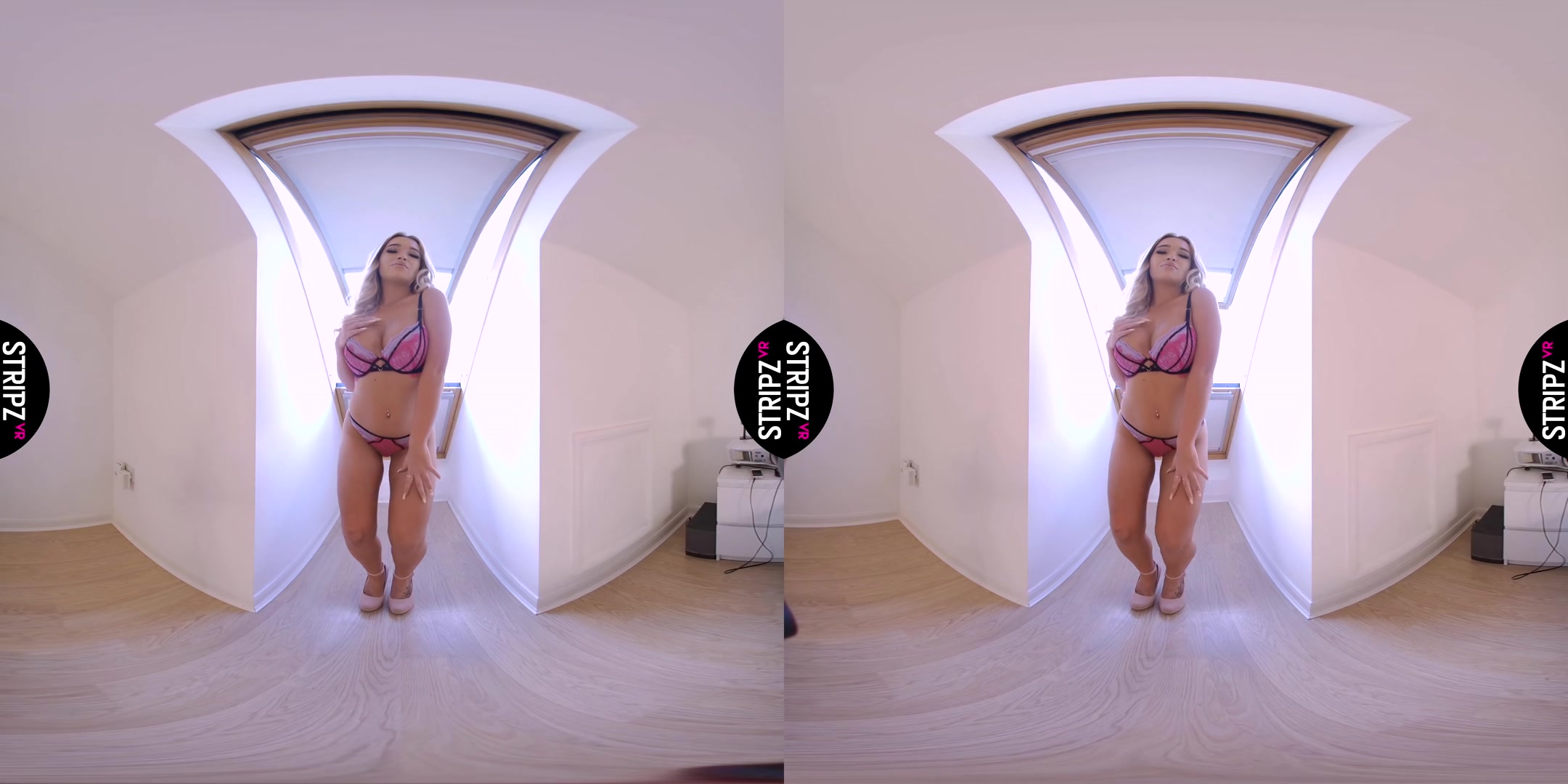 Room With a View - StripzVR
