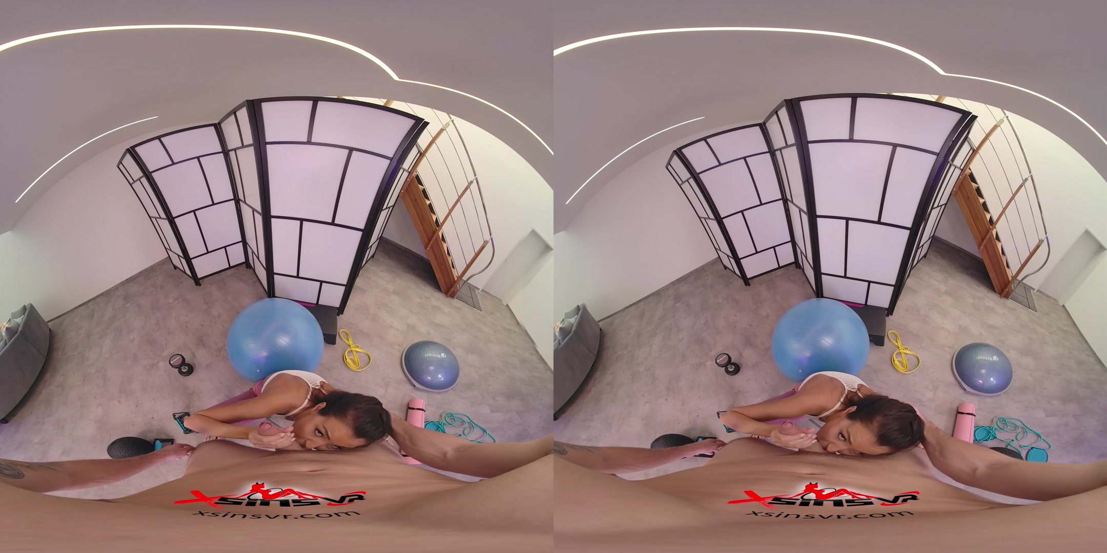 Fitness Anal - SinsVR