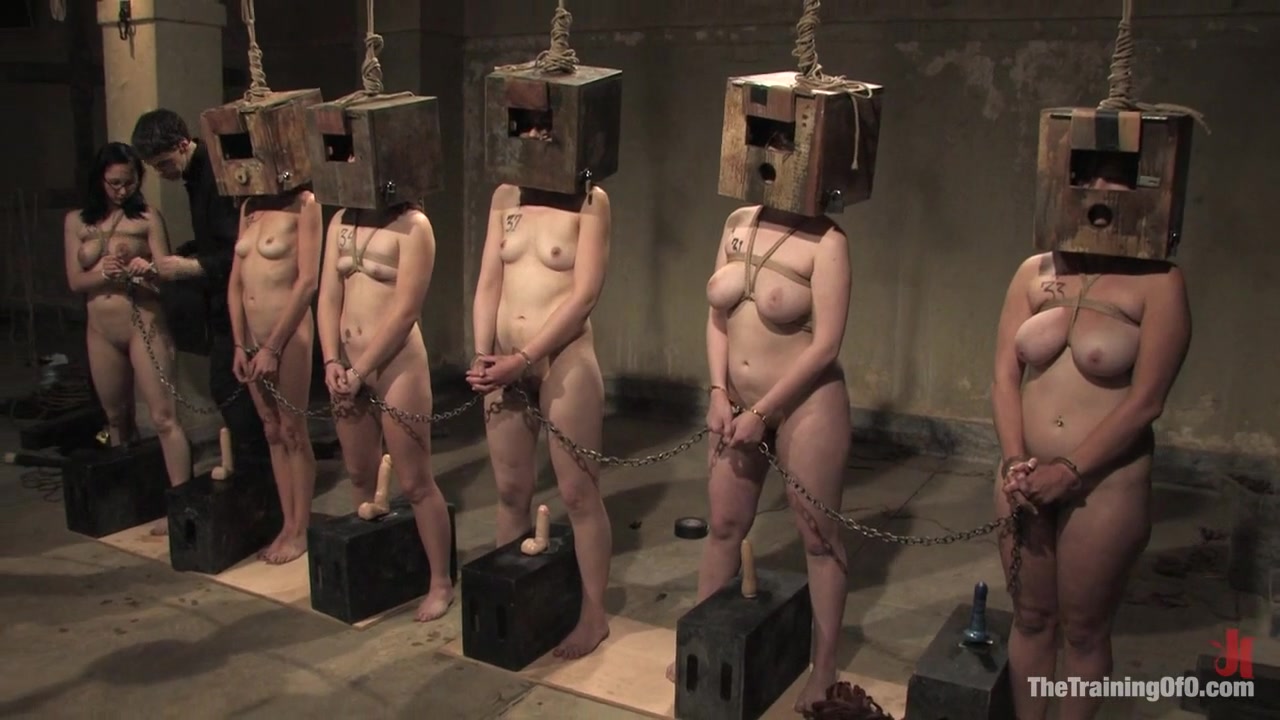 The Auditons Three - TheTrainingofO