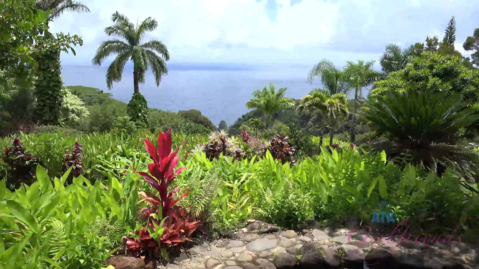 Virtual Vacation In Hawaii With Moka Mora Part 5