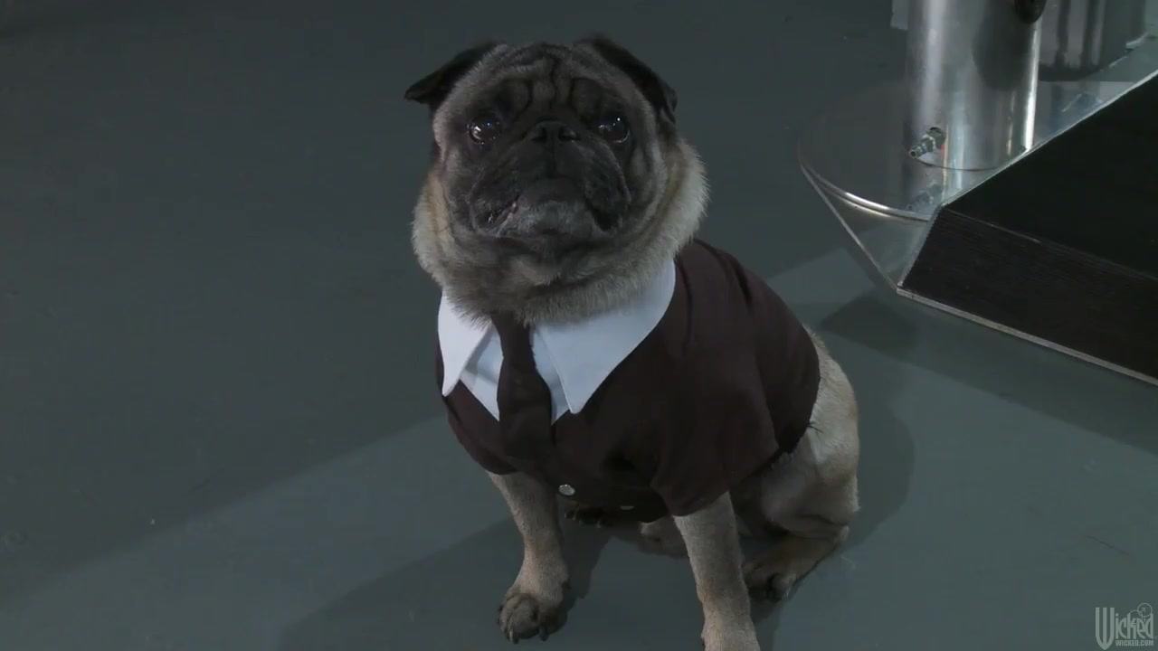 Men in Black parody with Misty and her epic rump
