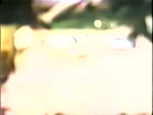 C.J. Laing, Tony Perez, Jennifer Jordan in vintage porn site