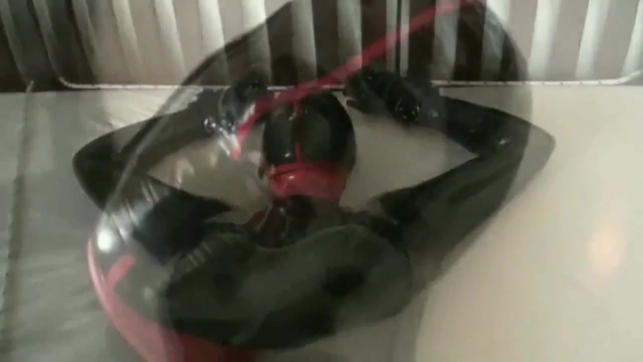 Latex The Colony