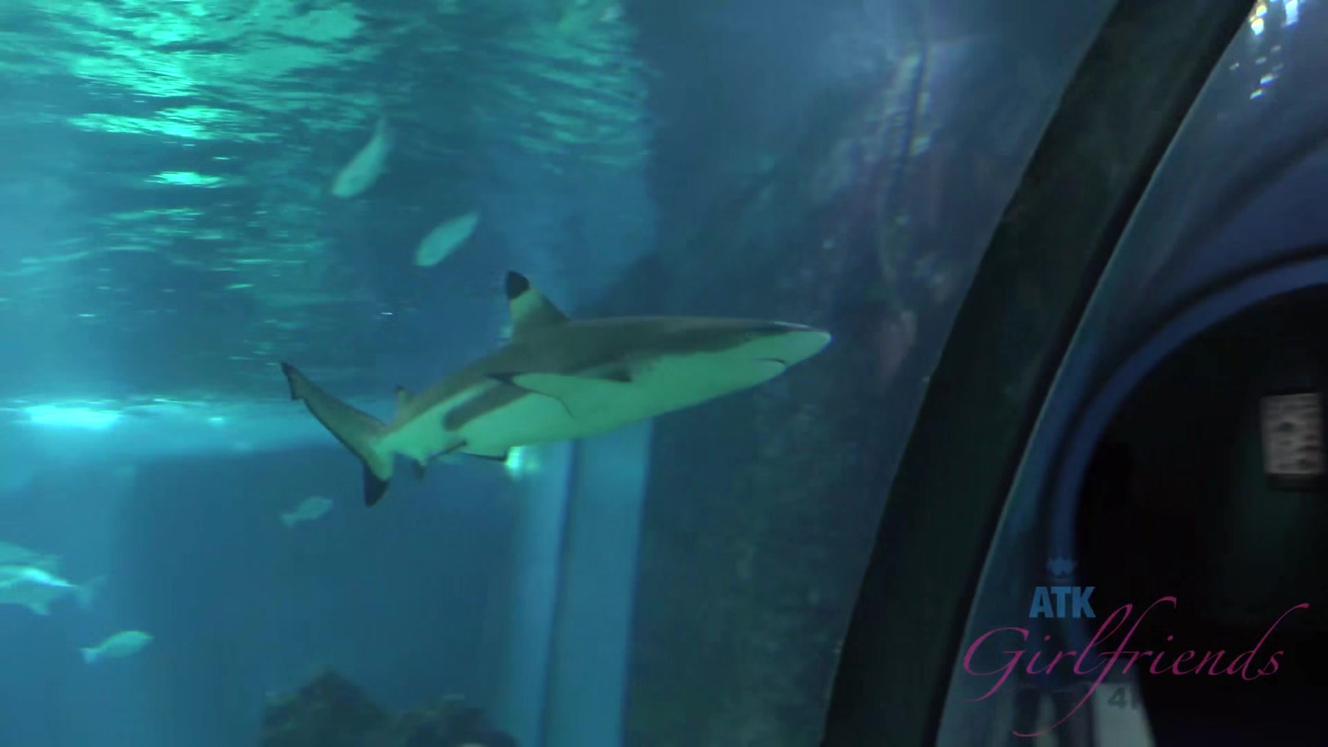 Virtual Vacation In Hawaii With Haley Reed Part 9