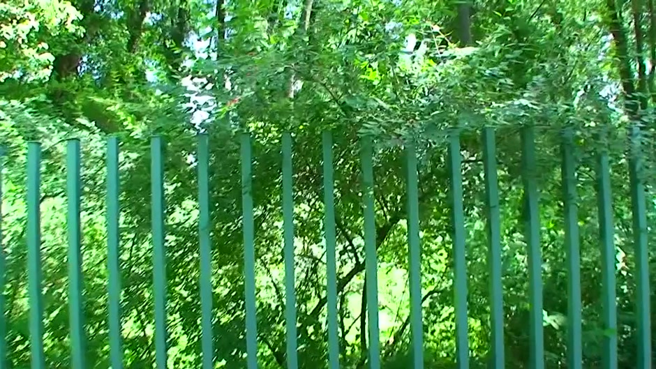 Horny cutie has real sex while in a public street
