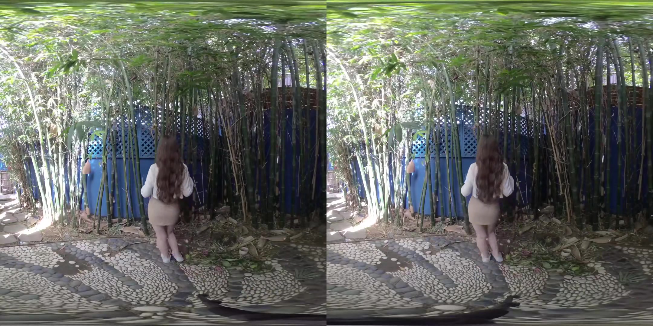 Bamboo - EmilyBloom