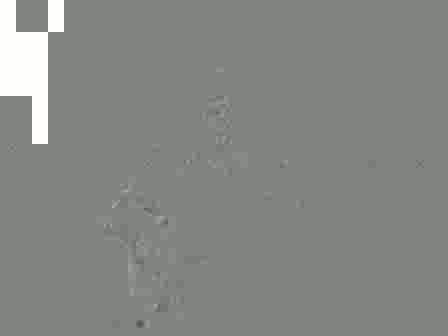 teen 18+ masturbation
