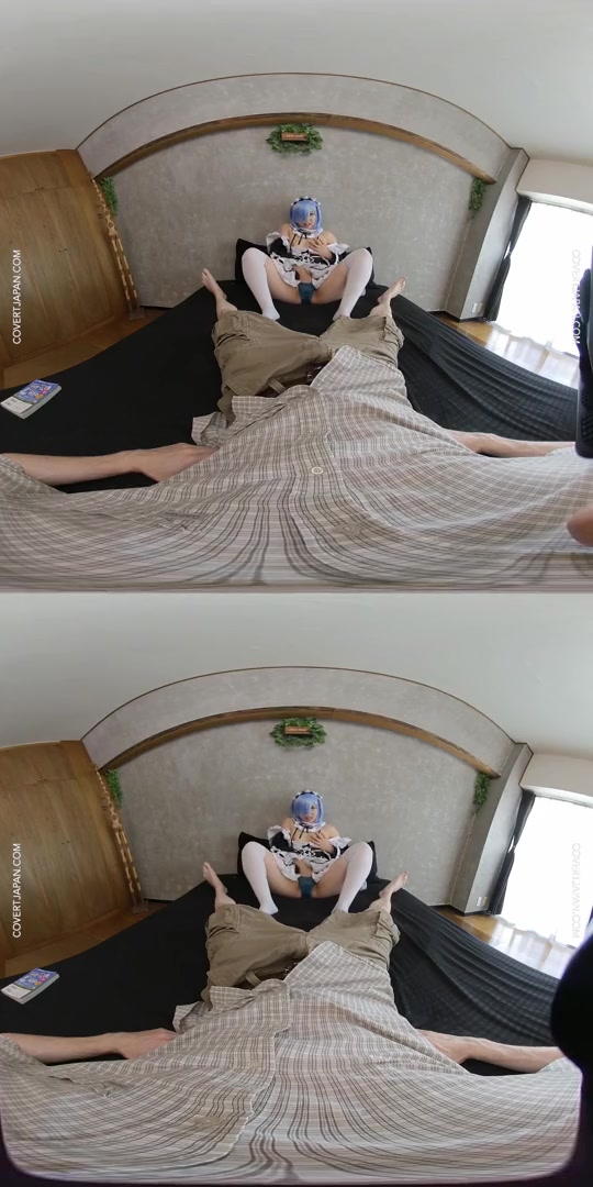Japanese Anime Girlfriend Rem Snatches Your Attention
