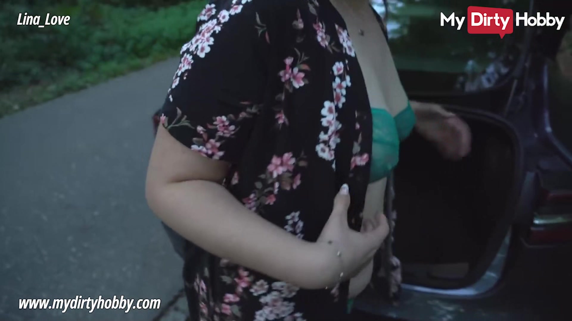 My Dirty Hobby - Brunette picks up hiker and swallows his cum