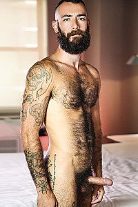 Stephen Harte