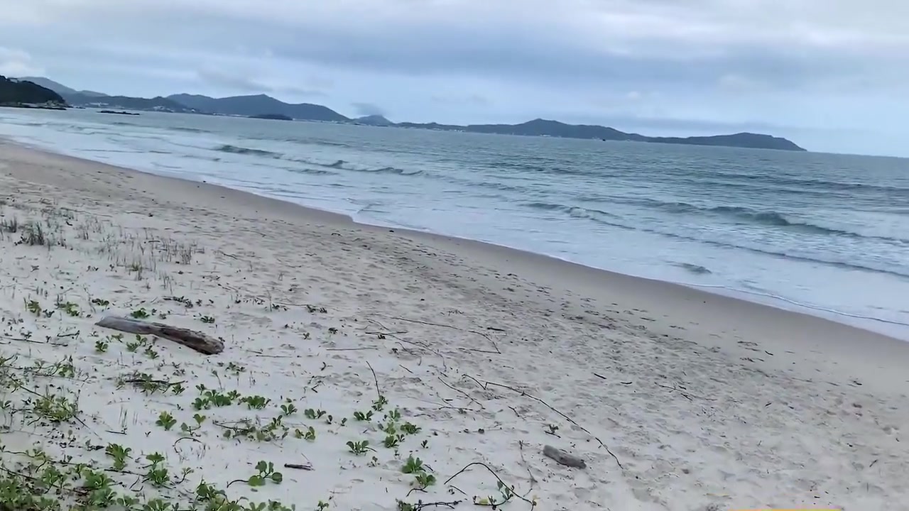 Anal Insemination On A Public Beach