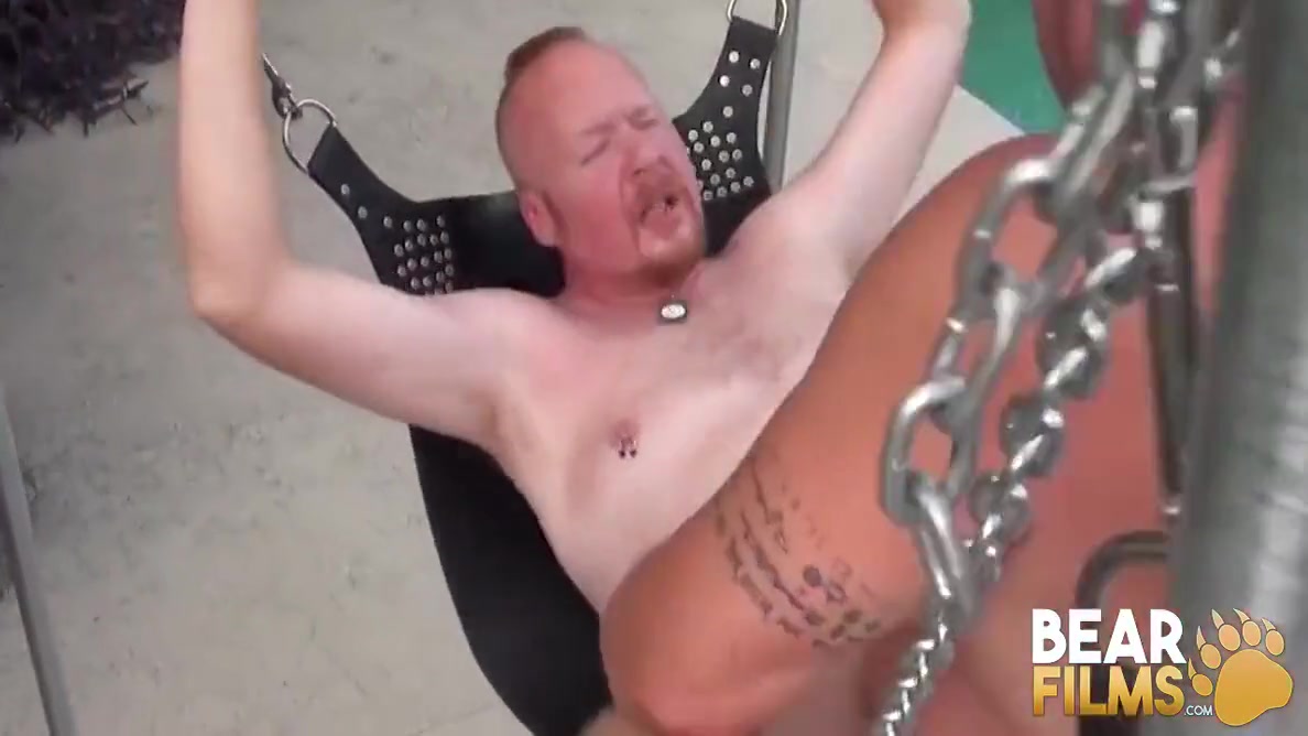 Hairy Bear Kj Rankin Barebacks Redhead Tiger