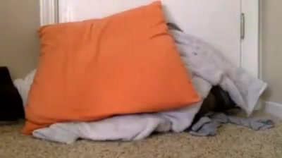 Tiny small cute cock tight asshole junior shemale trap