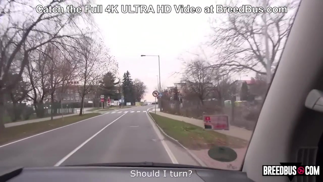 He was Supposed to take me Home - Breedbus