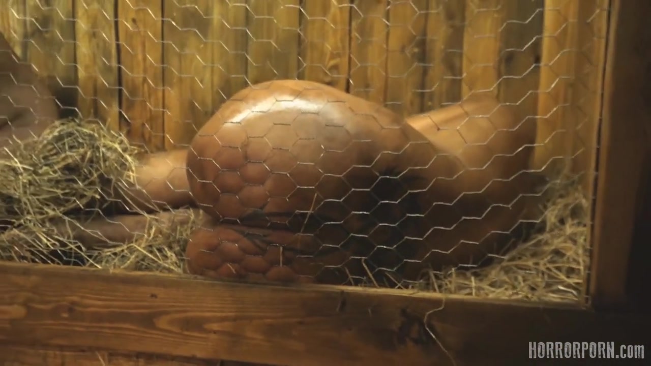 HORRORPORN - Rabbit hutch
