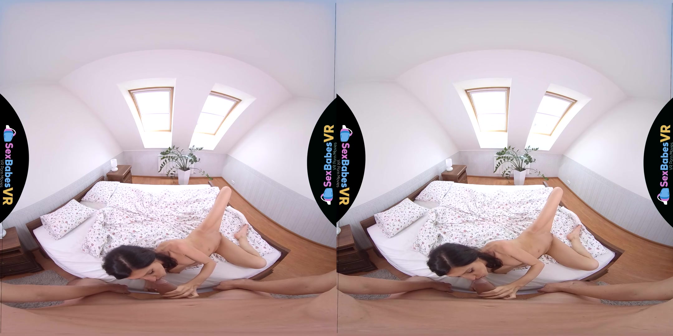 Arian Joy in Hotel Maid Gets Fucked - SexBabesVR