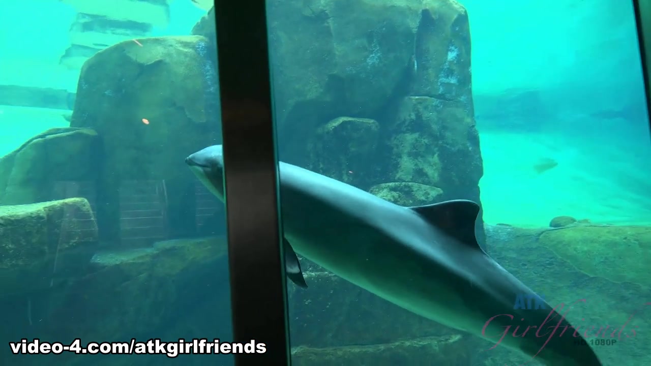 Cali Hayes in Virtual Vacation Movie - AtkGirlfriends