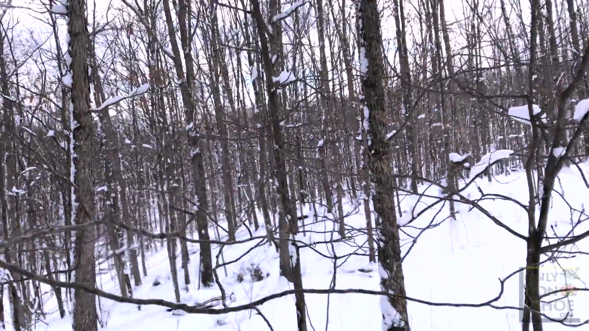 Sucking Dick In The Snow - Sexynina