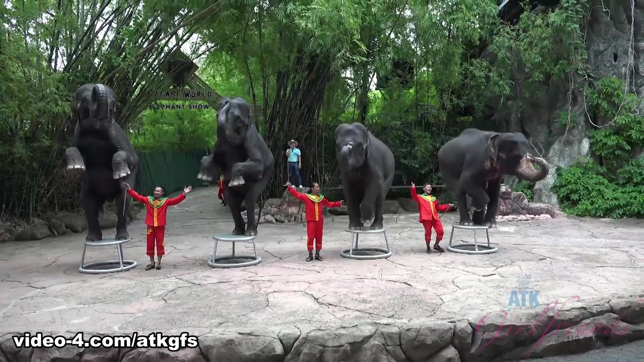 Moka Mora in Moka Is Having The Best Time Feeding Animals - ATKGirlfriends