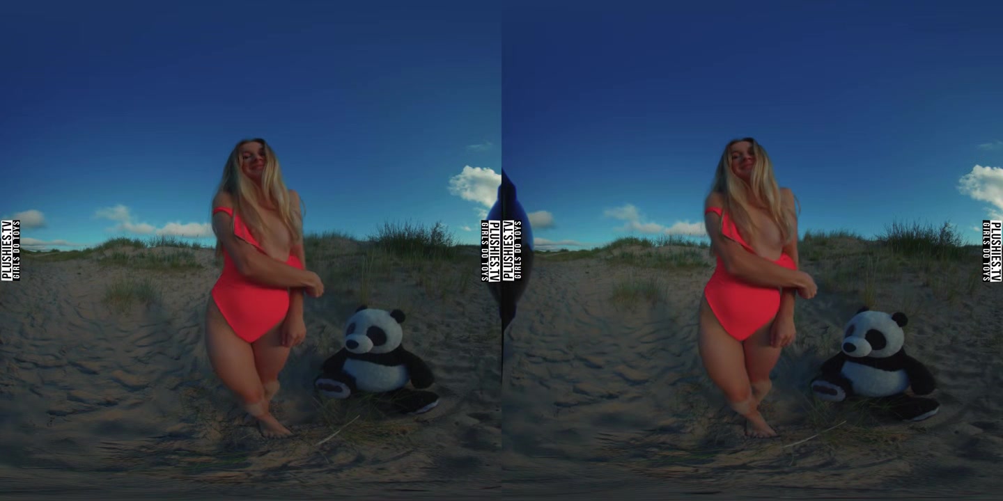 Beach Day In Poland - PlushiesVR
