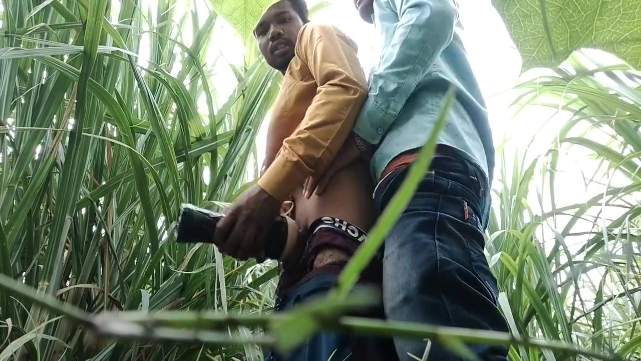 Sugar Cane - Masterji Gifted A Unique Toy To The School students 18+ And The Boy Masterji Had Fun In The Field