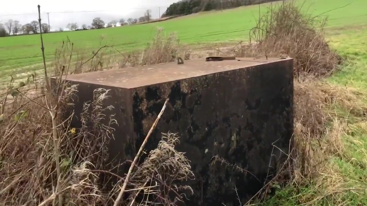 And Jerking In A Muddy Field