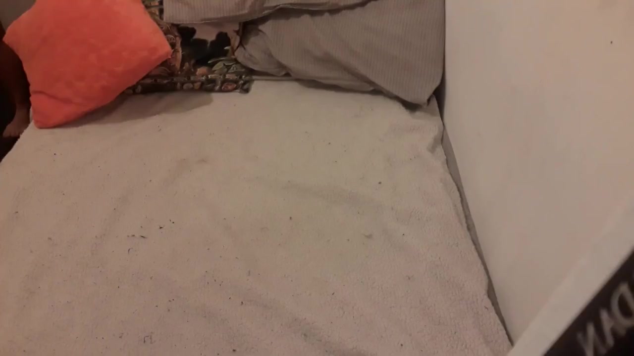 Videollamada Con Mi Sugar Step daddy A Escondidas De Mi Padre