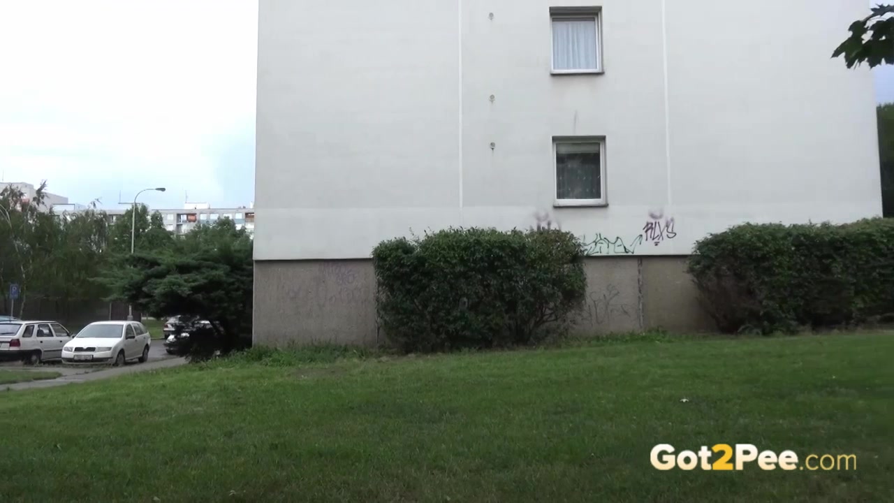 Got2### Public ### Compilation 003