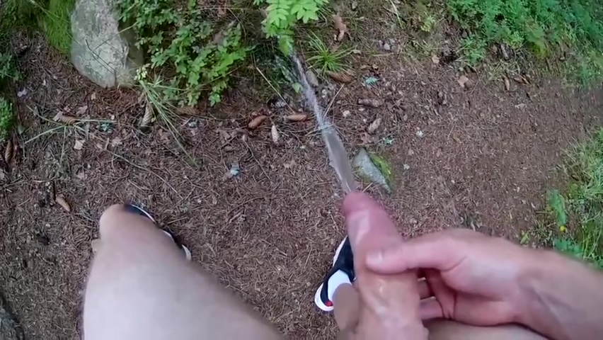 Risking It On A Forest Path