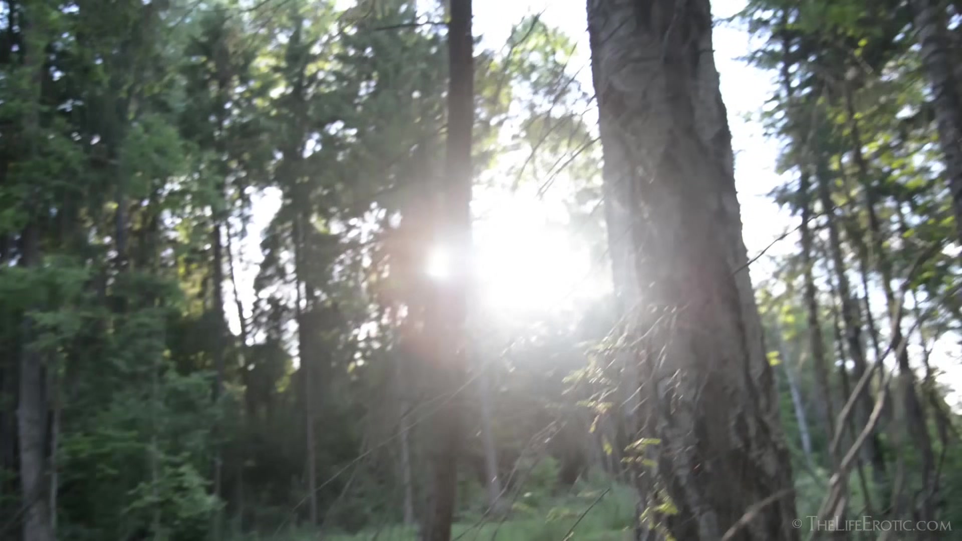 Nature Dream - Veronica Snezna - TheLifeErotic