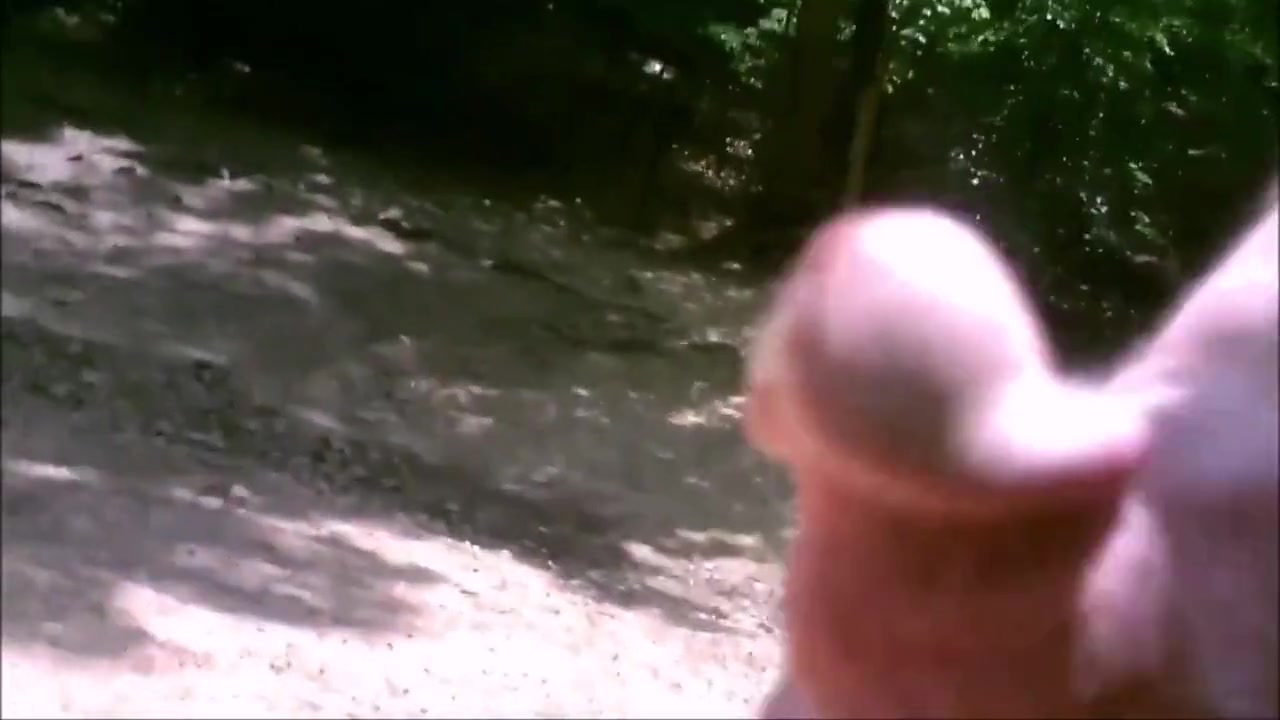 Risky Public Jackoff At Busy Canine Park June-2015