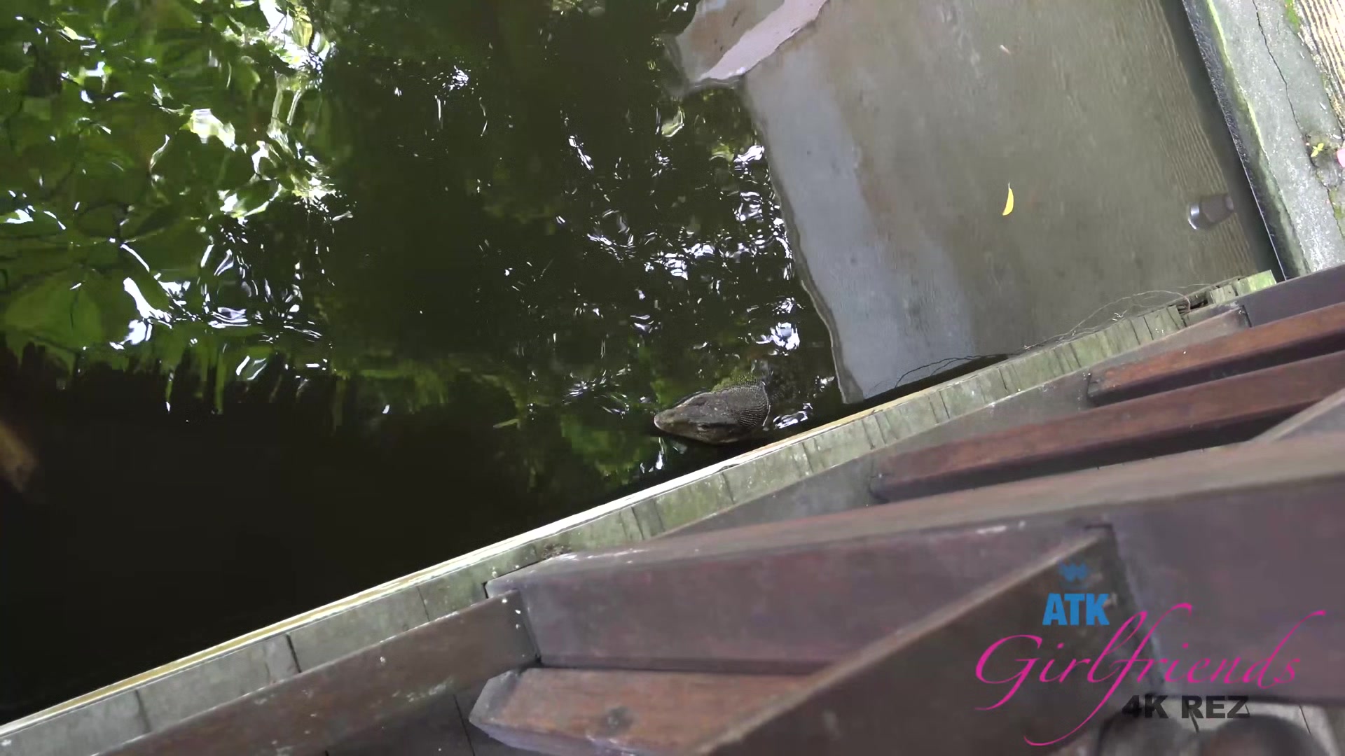 Virtual Vacation Tioman Island Elena Koshka 6/6