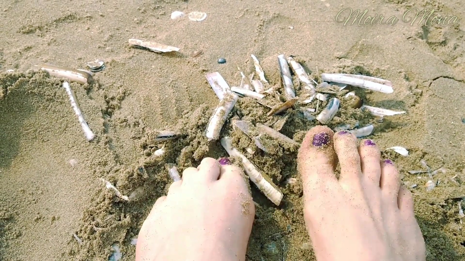 Sand And Shells Under My Feet
