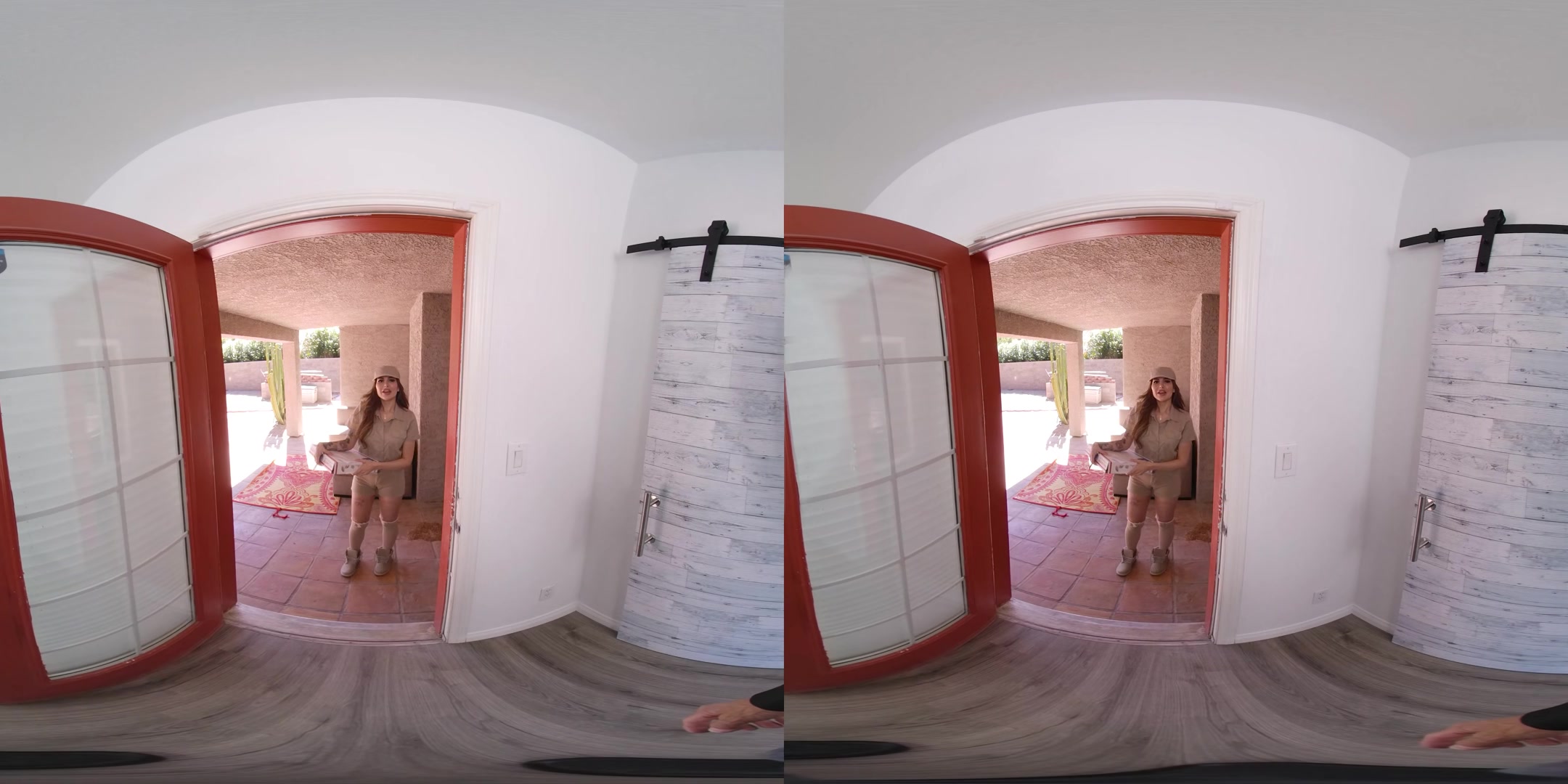 The Delivery Girl - VRBangers