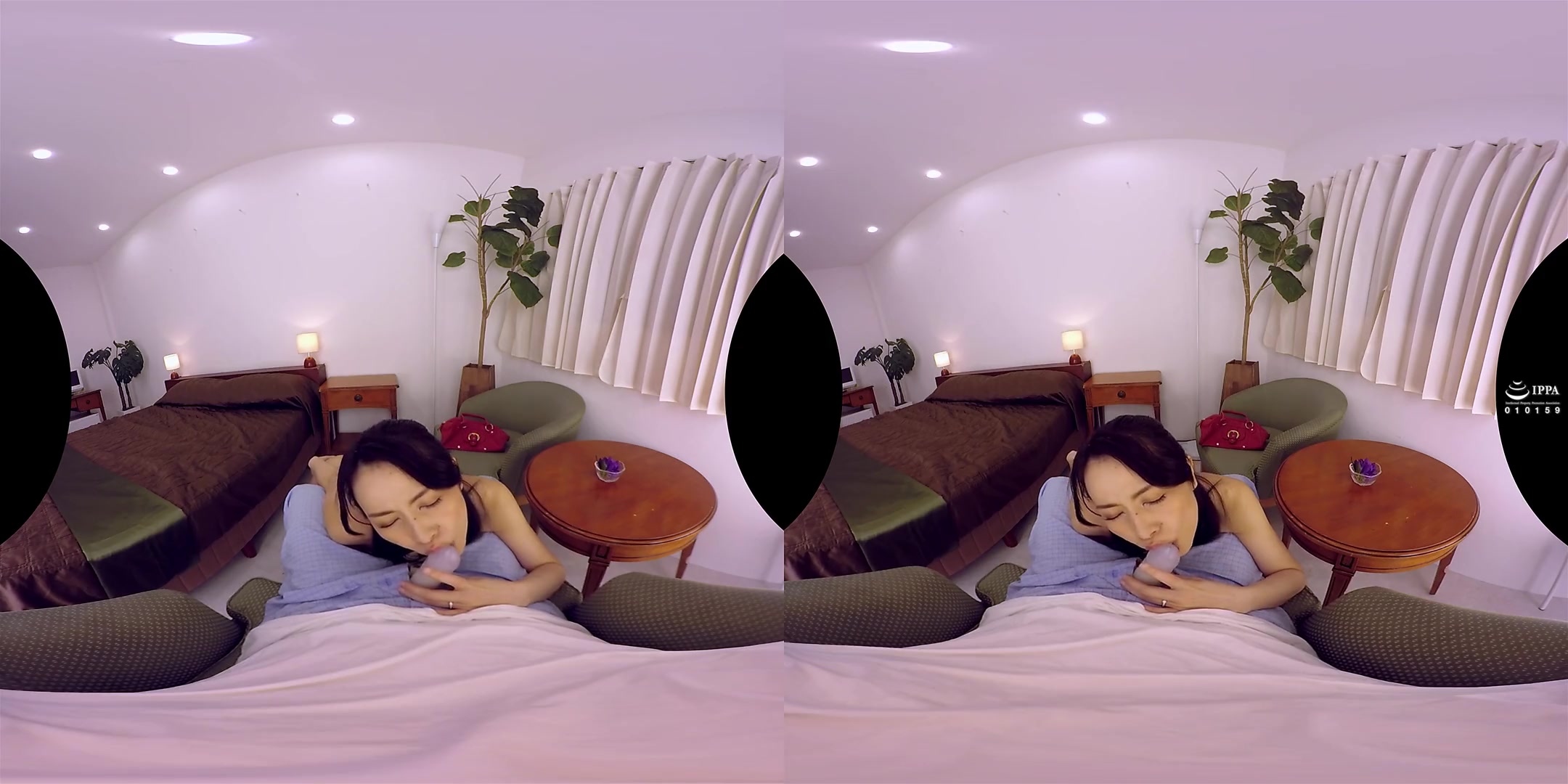 Digitally Remastered! VR Masterpiece Collection; Sensual Japanese MILF Compilation