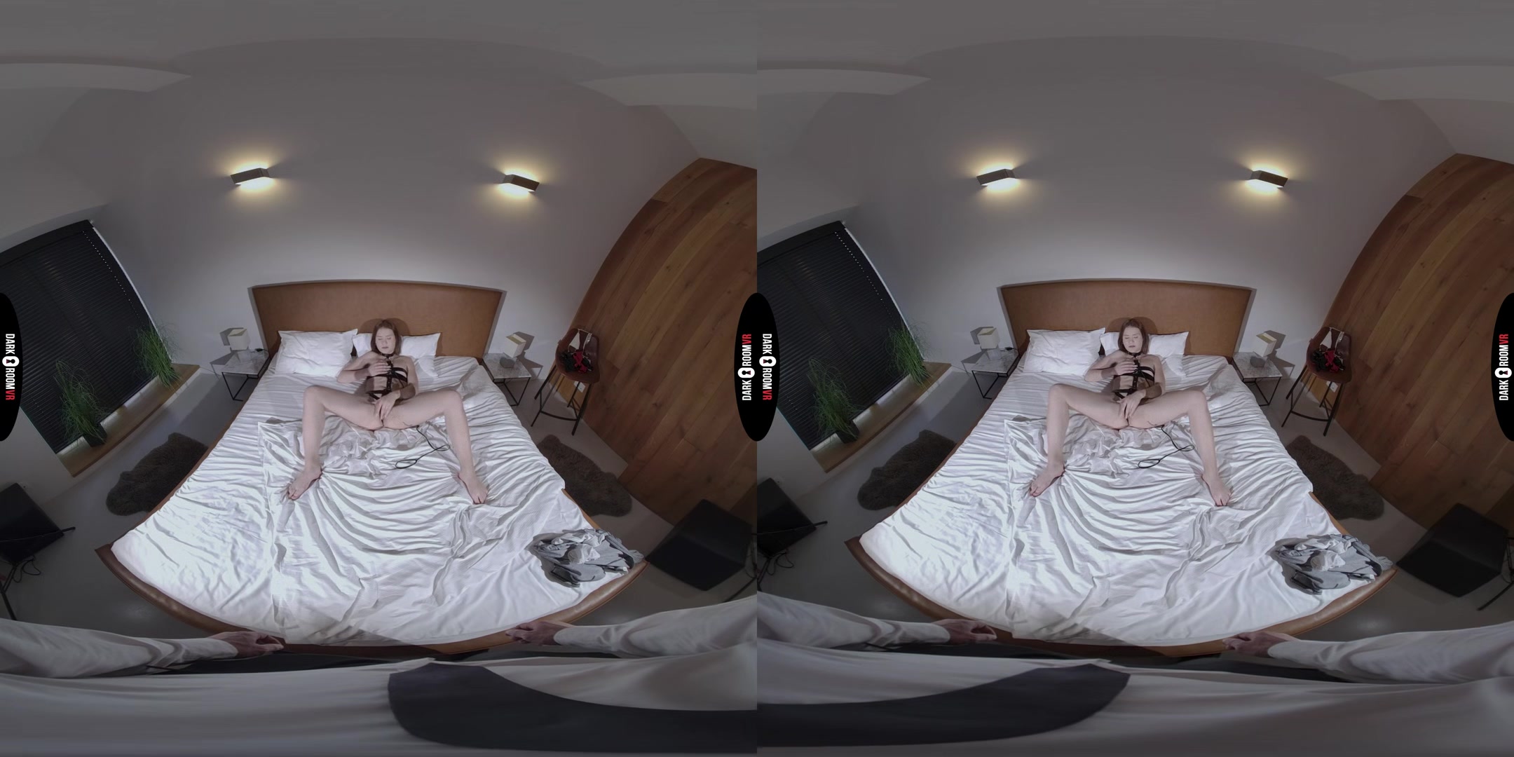 Matty VR Porn: My House, My Rules - DarkRoomVR