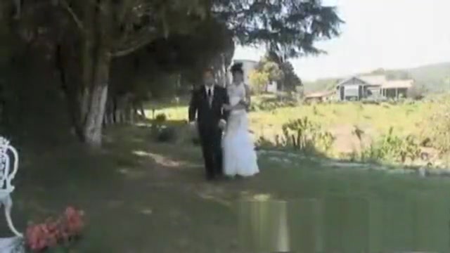 Wedding Trans