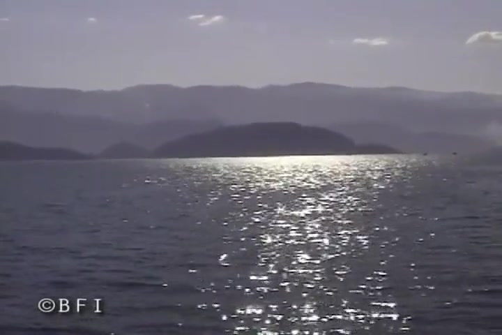Passion Sailings And So Much Sex Fun