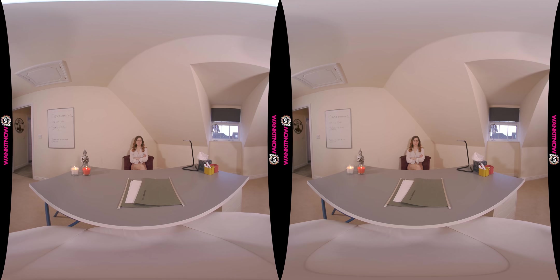 Wank Thief - WankitnowVR