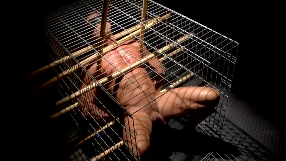 Caged Has A Weight Tied To His Cock - Tyler Saint