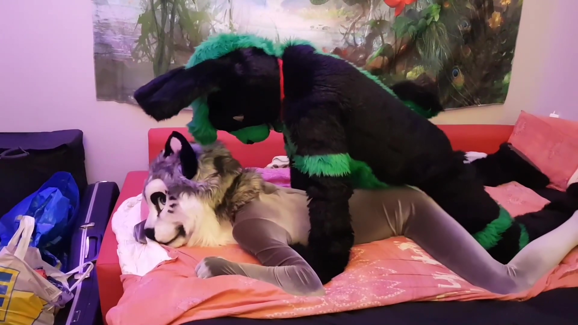 Bunny Breeds A Kitty Fursuit Yiff