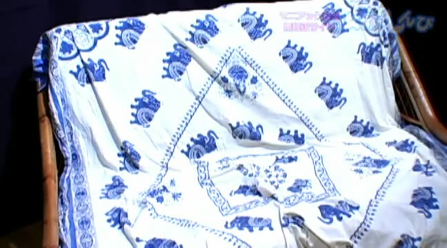 Fetish Japanese Video - Nyoshin