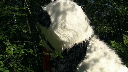 cutie engulfing biggest rod in the woods toy bear