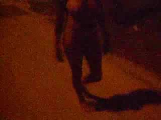 Sexy Ebony want to attract attention of the guys by walking naked